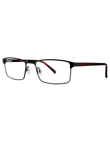 Randy Jackson RJ1089 Eyeglasses de l' environnement