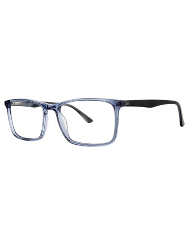 Randy Jackson RJ3056 Eyeglasses une grave pollution 